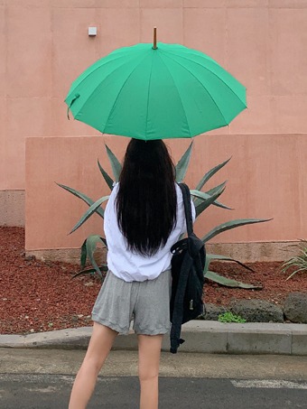 릴리스 컬러 장우산 (5color)